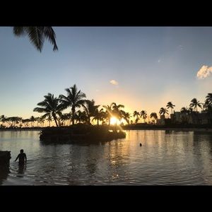 Meet your Posher, Winnie